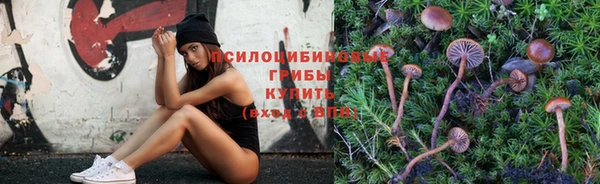 кристаллы Алексин
