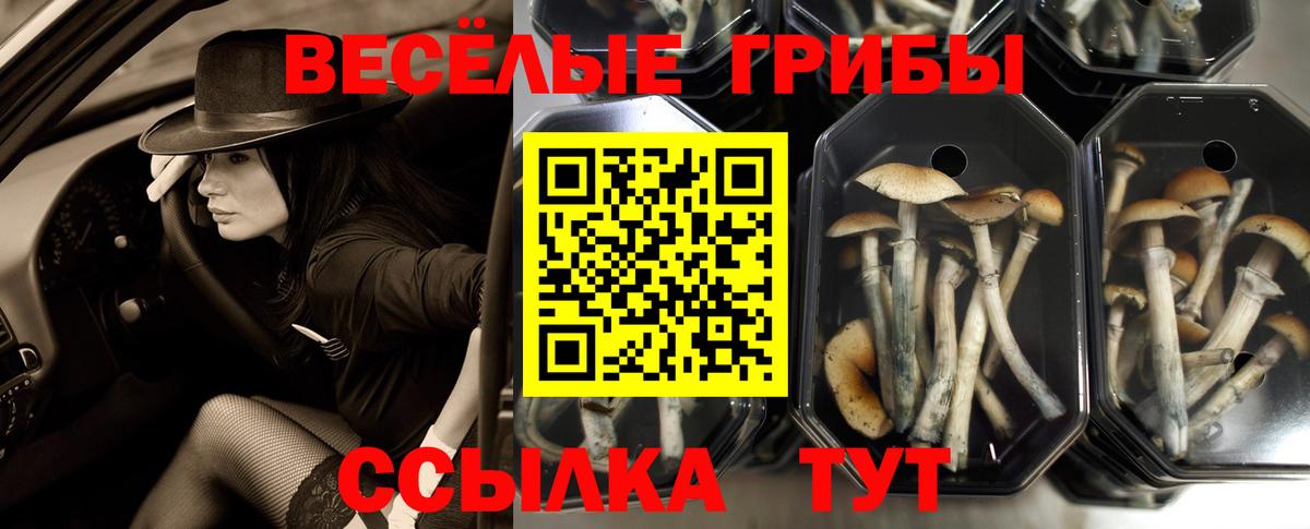 Галлюциногенные грибы GOLDEN TEACHER Старая Купавна