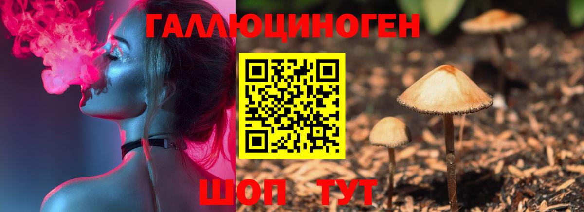 Старая Купавна  Галлюциногенные грибы Psilocybine cubensis  где найти наркотики  Вход с VPN 